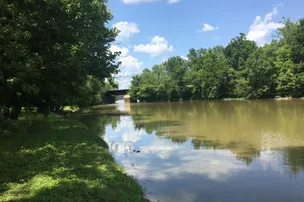 Lawrence Creek Campground – photo 5
