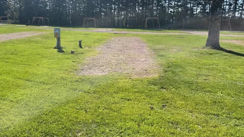 50/30 AMP 3-way Pull Through — image 1 of 1