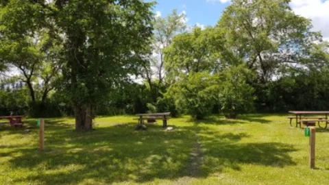 Basic Tent Site — image 1 of 1