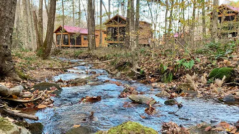 Sycamore Loft Cabin — image 2 of 16