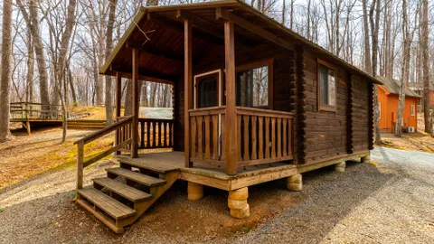 Primitive Mtn View Cabin sleeps 6 — image 1 of 6