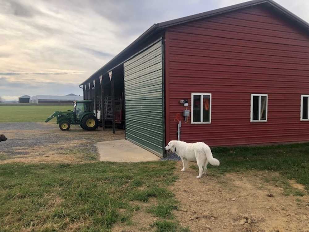 Double A Farm - Photo 2