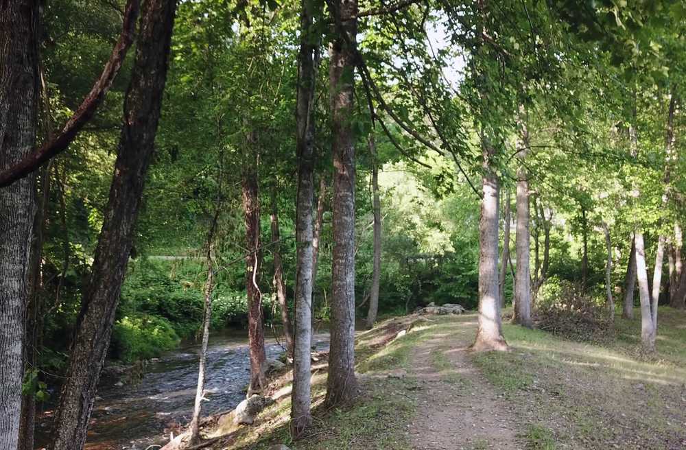 Armstrong Creek RV Park & Cabins, Marion, North Carolina - Photo 4