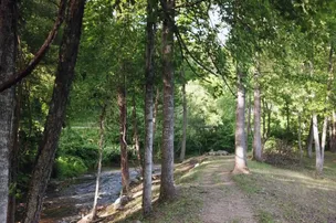 Armstrong Creek RV Park & Cabins – photo 4