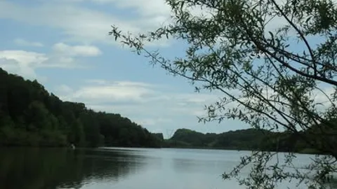 Water + Electric RV (Pull-through) — image 2 of 3