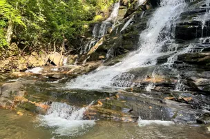 Wilderness Cove Campground – photo 3
