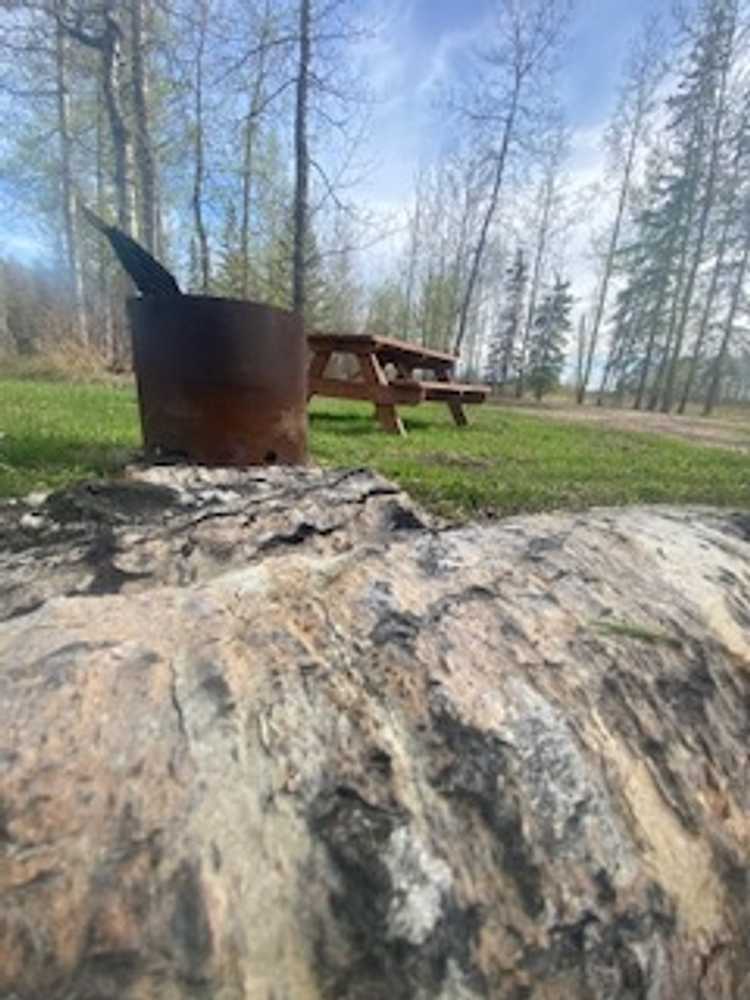 Brooke's Creek Ltd., Whitecourt, Alberta - Photo 4