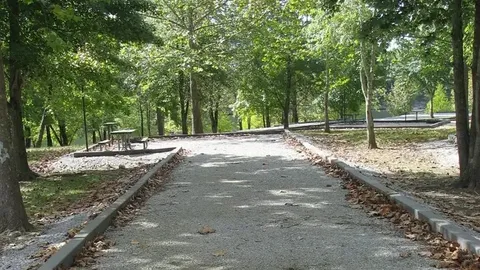 Primitive RV/Tent Site — image 2 of 15