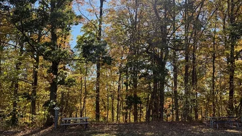 Tent or Small RV Site — image 1 of 1