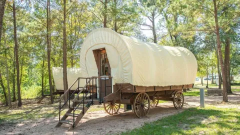 Covered Wagon — image 1 of 7