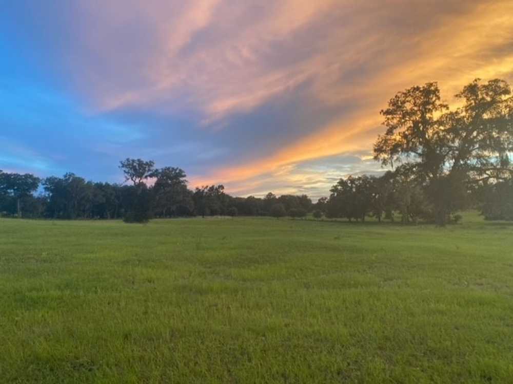 Cowbird Campground, Live Oak, Florida - Photo 2