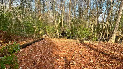 Primitive Tent / Overlanding Site — image 1 of 5