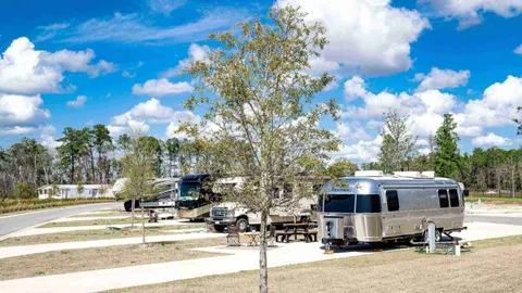 30/50 Amp Deluxe Back-in RV — image 4 of 4