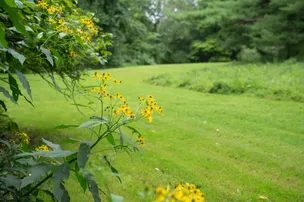 Very Quiet and Secluded,  Mercer Pennsylvania – photo 4