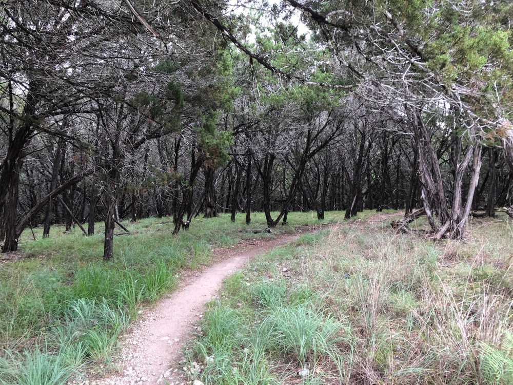 Grelle Recreation Area, Spicewood, Texas - Photo 3