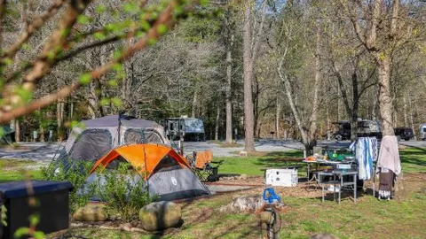 Off River Water + Electric Tent Site — image 2 of 9
