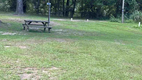 BACK-IN 30A FHU/GRASS — image 1 of 1