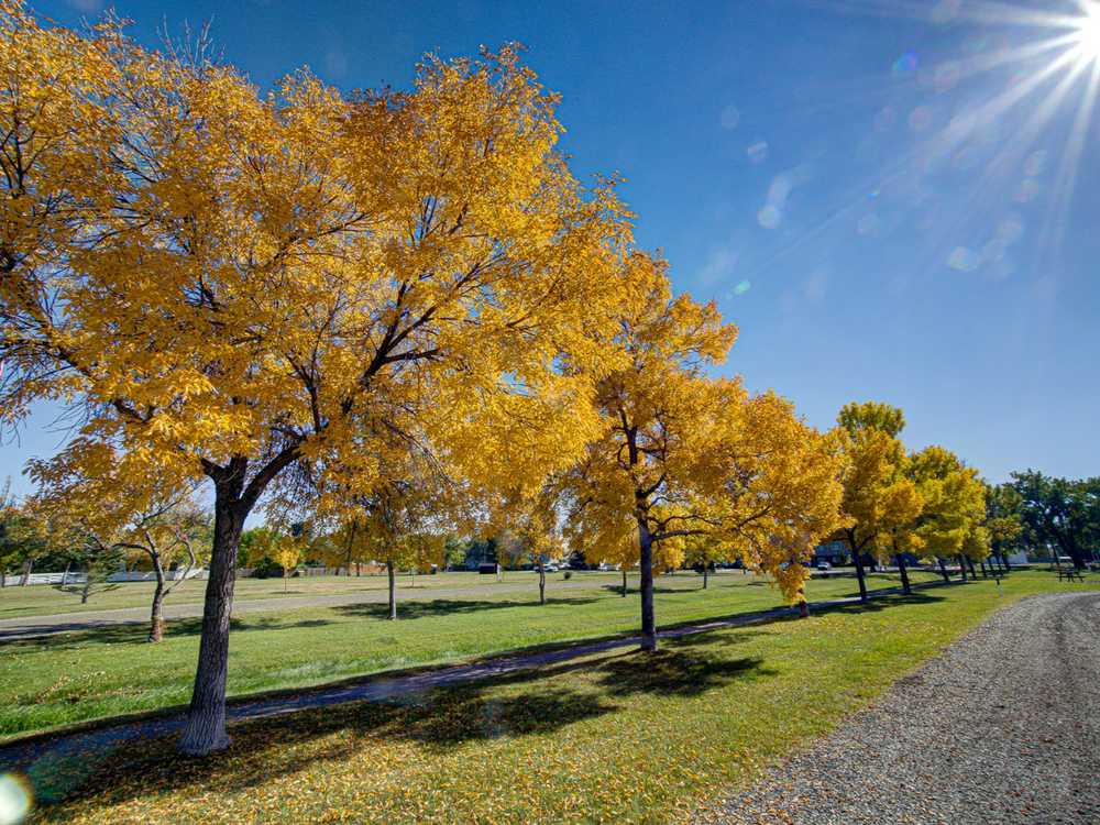 Centennial Park Campground, Claresholm, Alberta - Photo 3