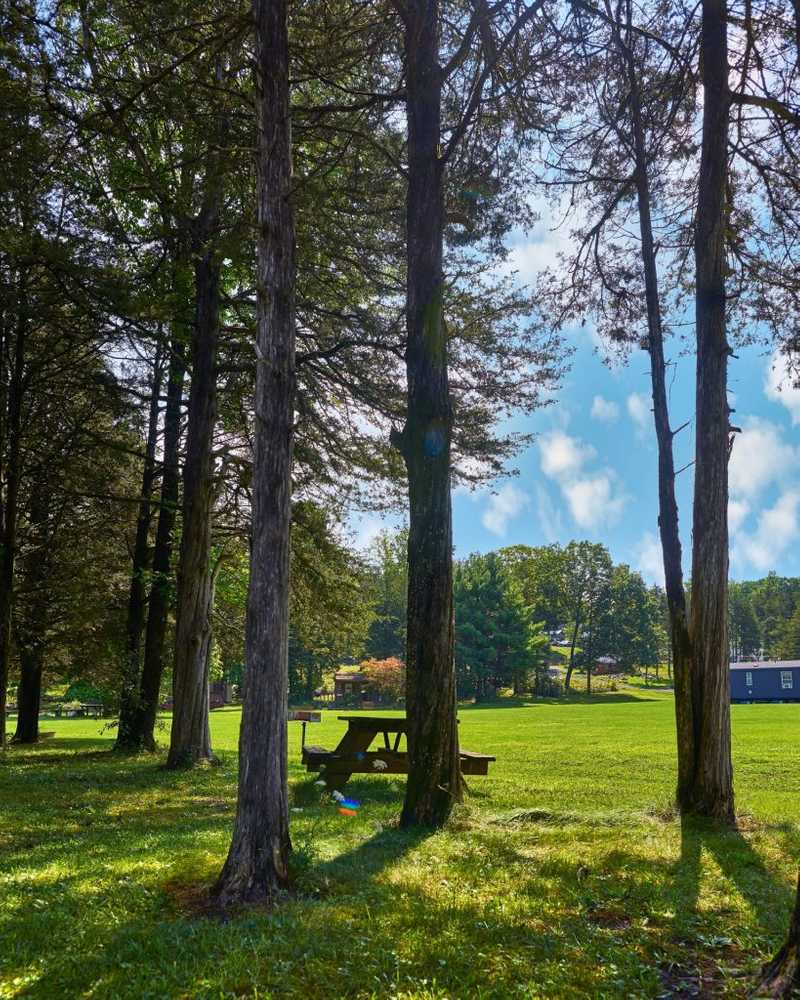 Camp Catskills, Catskill, New York - Photo 3