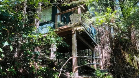 Tree House Cabin 2 — image 1 of 6