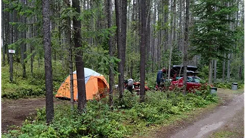 Primitive Tent Site — image 2 of 4