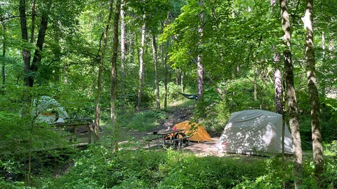 Primitive Tent Site (500's) & (600's) — image 2 of 6