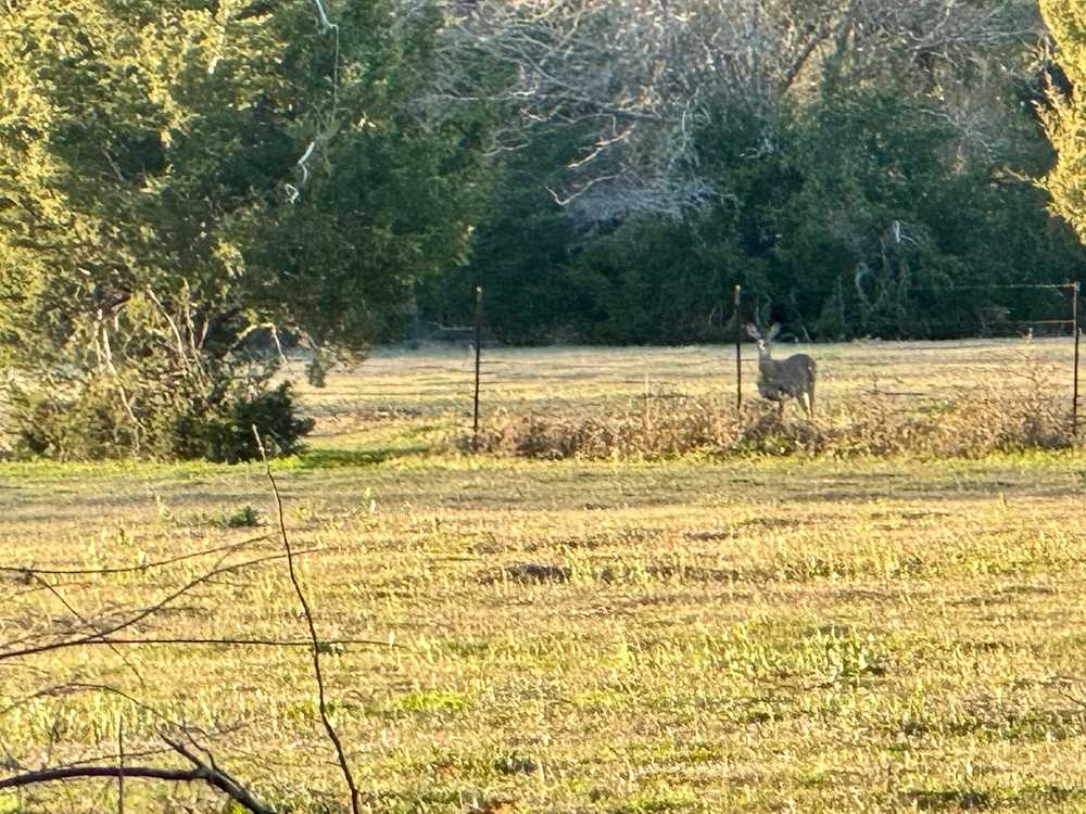 Pull Through RV Park, Fairfield, Texas - Photo 4