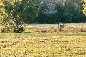 Pull Through RV Park – photo 4
