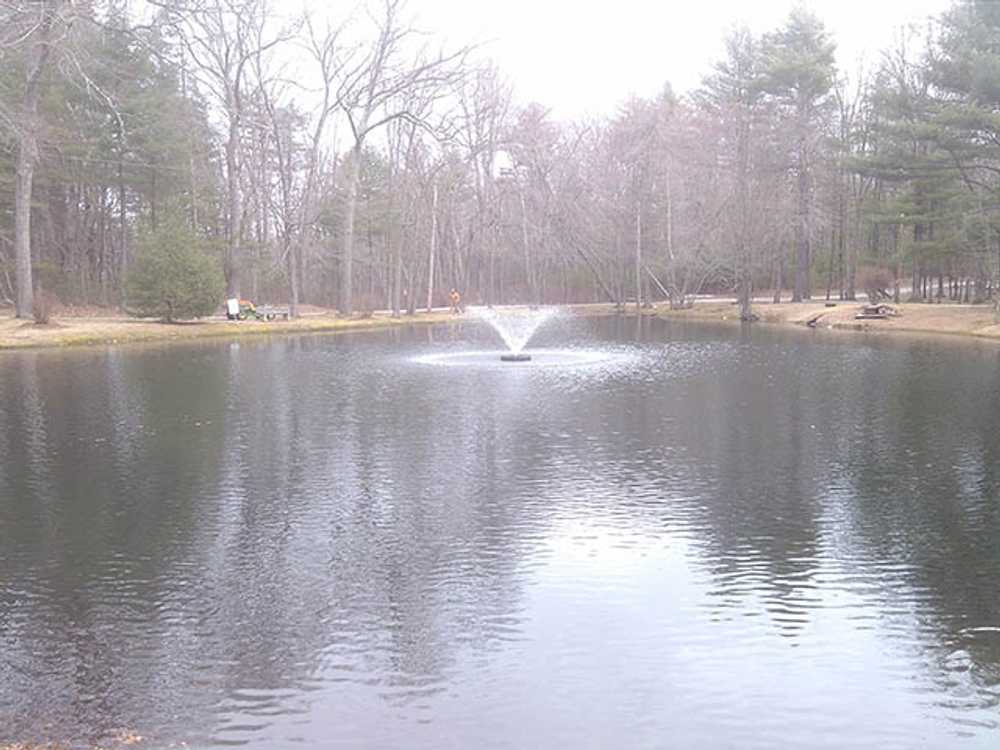 Park Image 6