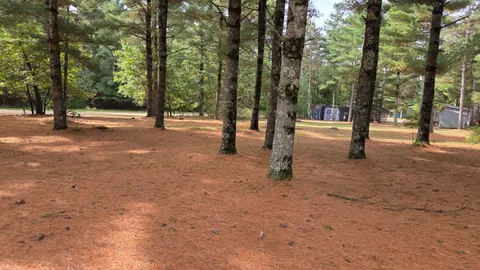 Primitive Tent (Single or Group) Site — image 1 of 6