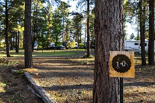 Basecamp Pagosa – photo 3