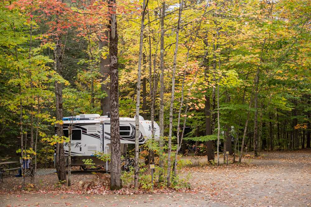 Ames Brook Campground - Photo 5