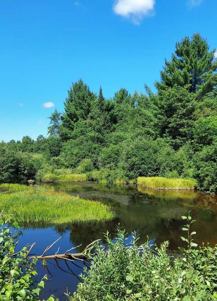 Tamarack Springs Campground - Conover, WI - Photo 2