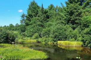 Tamarack Springs Campground – photo 2