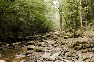 Stillwaters Creek – photo 5