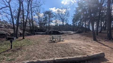 Group Tent/Camper Site — image 1 of 1