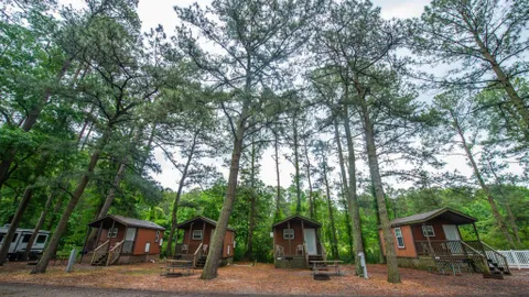 Cabin — image 1 of 8