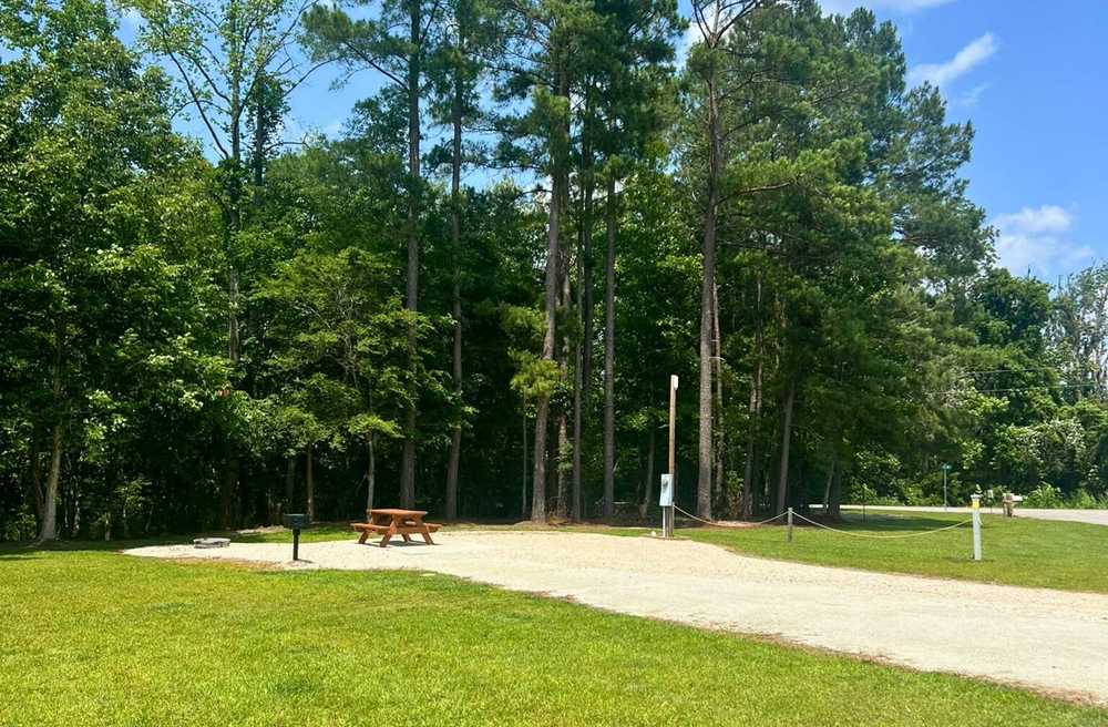Park Image 10