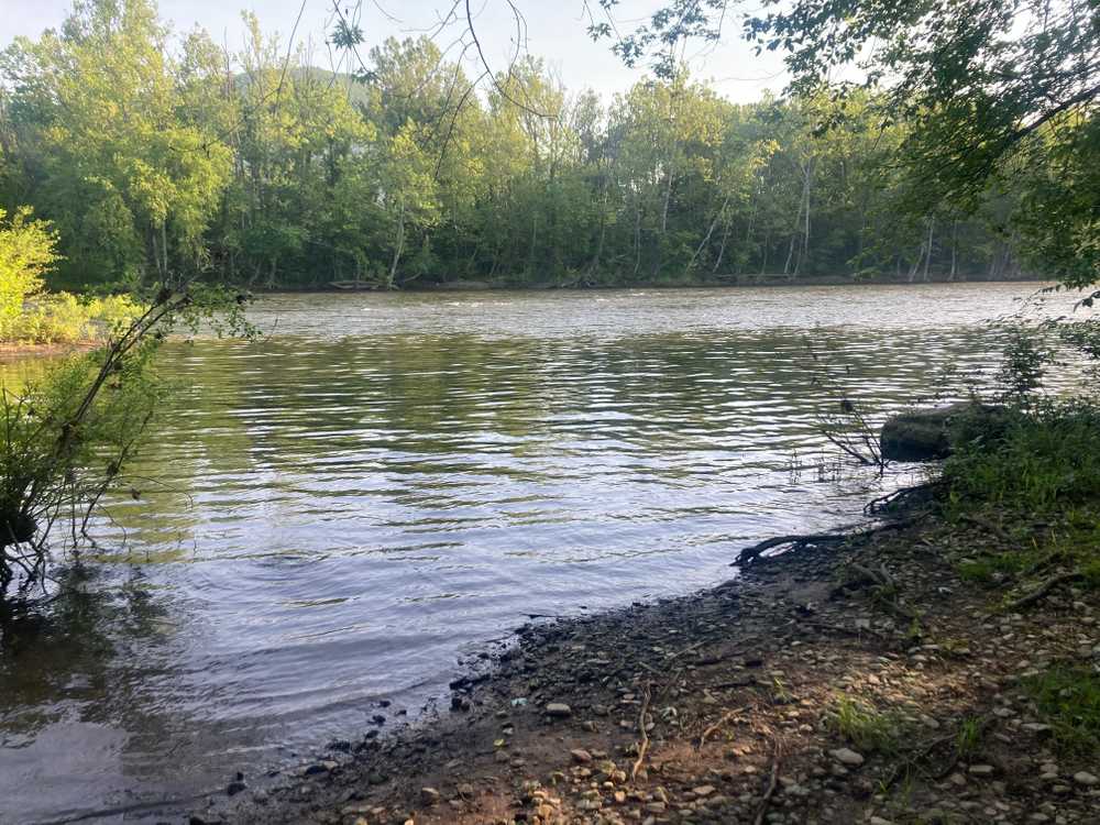 Limestone Park - Photo 2