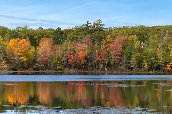 Punch Lake Campground – photo 1