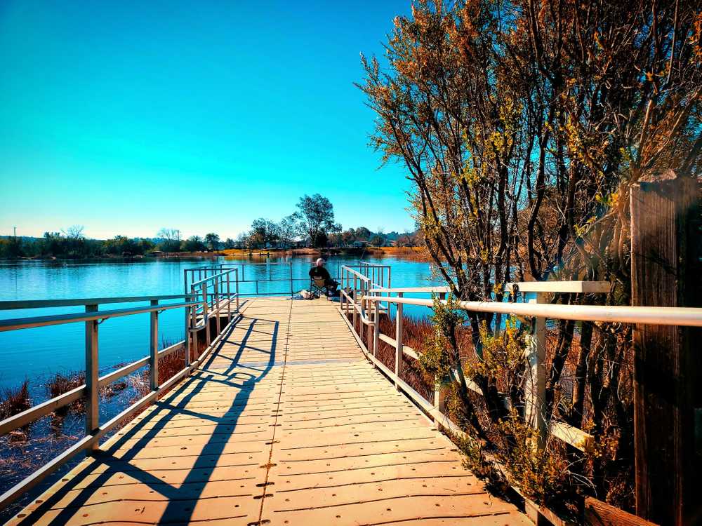 Lake Camanche North Shore - Photo 3