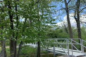 Apple Creek Campground – photo 4