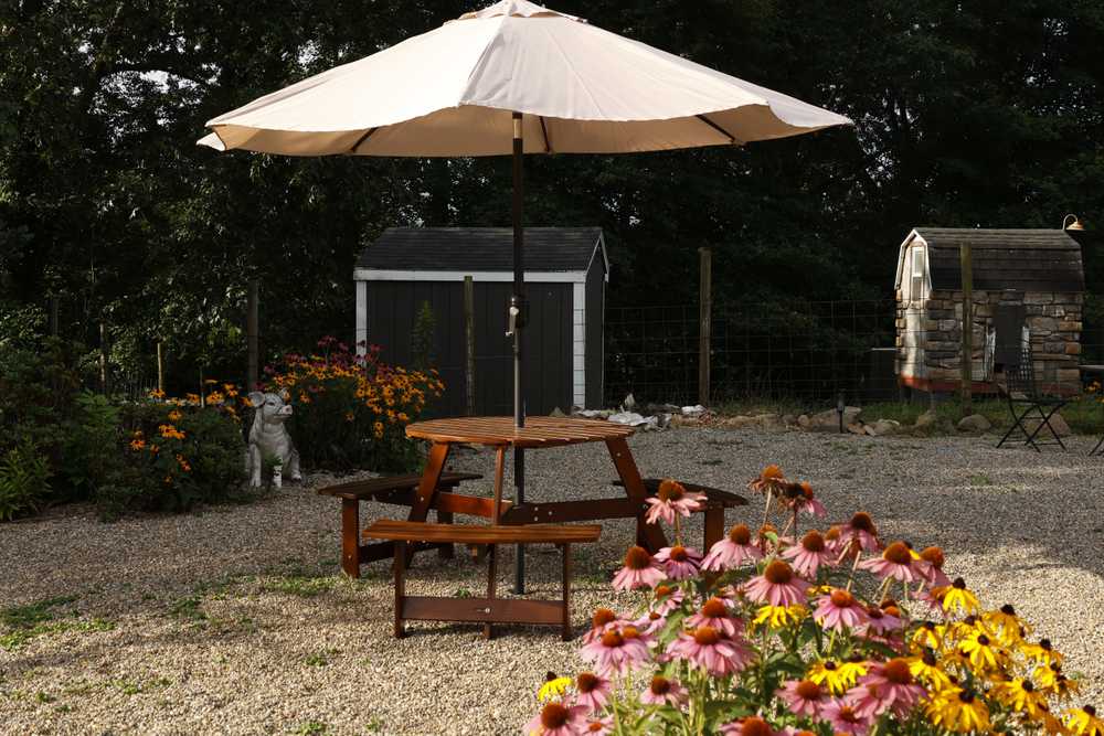 Park Image 7