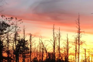 Beaver Trail Campground – photo 2