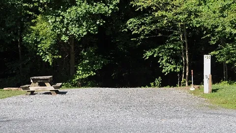 Back-In Full Hook-Up Site Near Stream — image 2 of 4