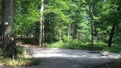Shaded RV/Pop-Up/Tent Site — image 1 of 1