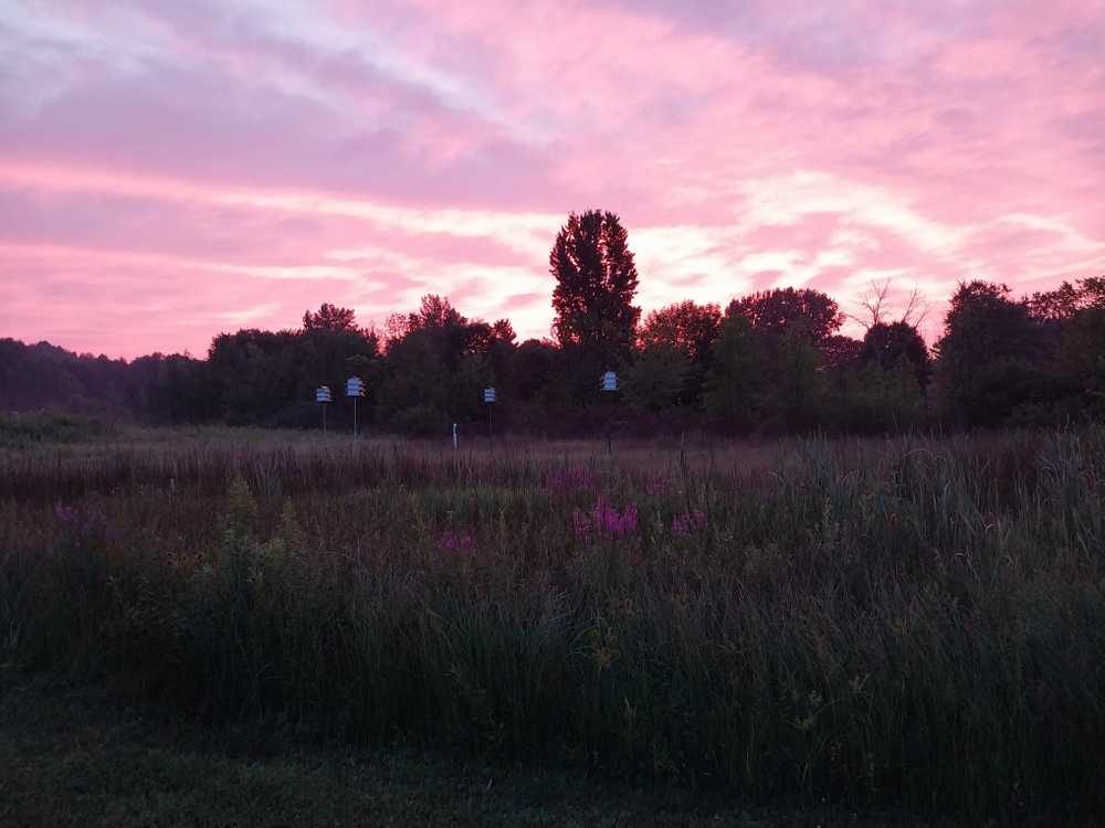 Park Image 17