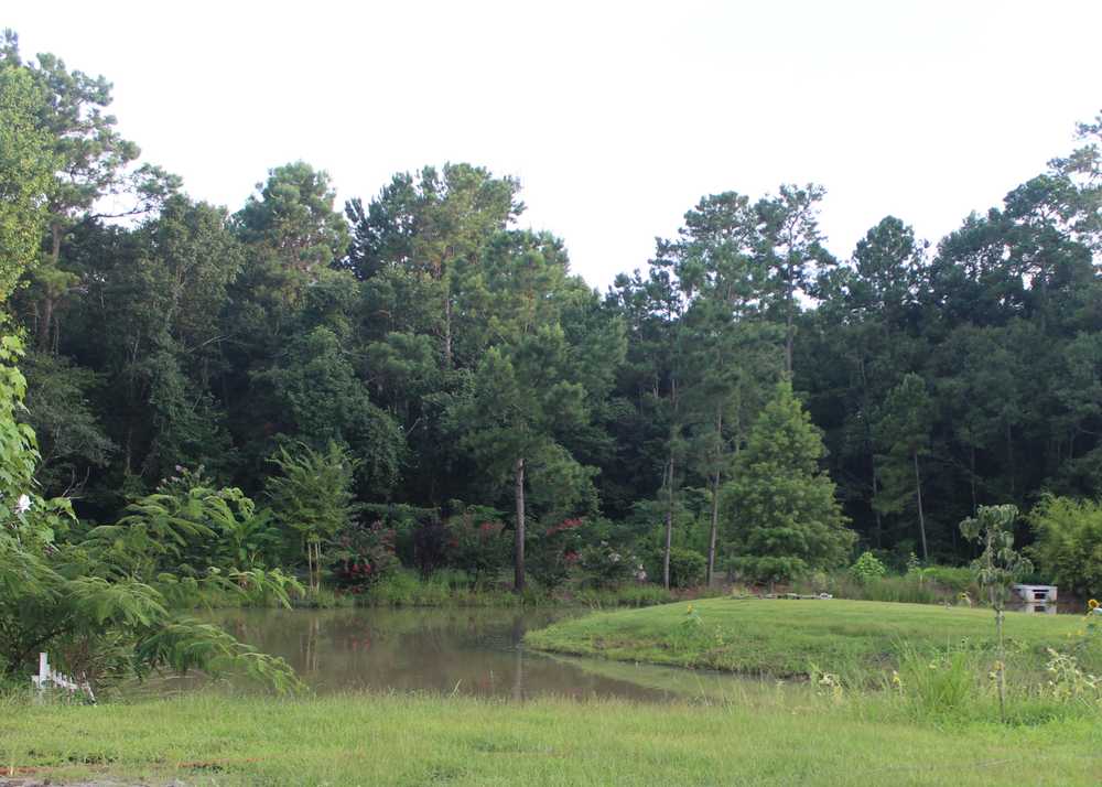 Ladson RV Park - Photo 4