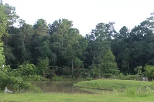 Ladson RV Park – photo 4