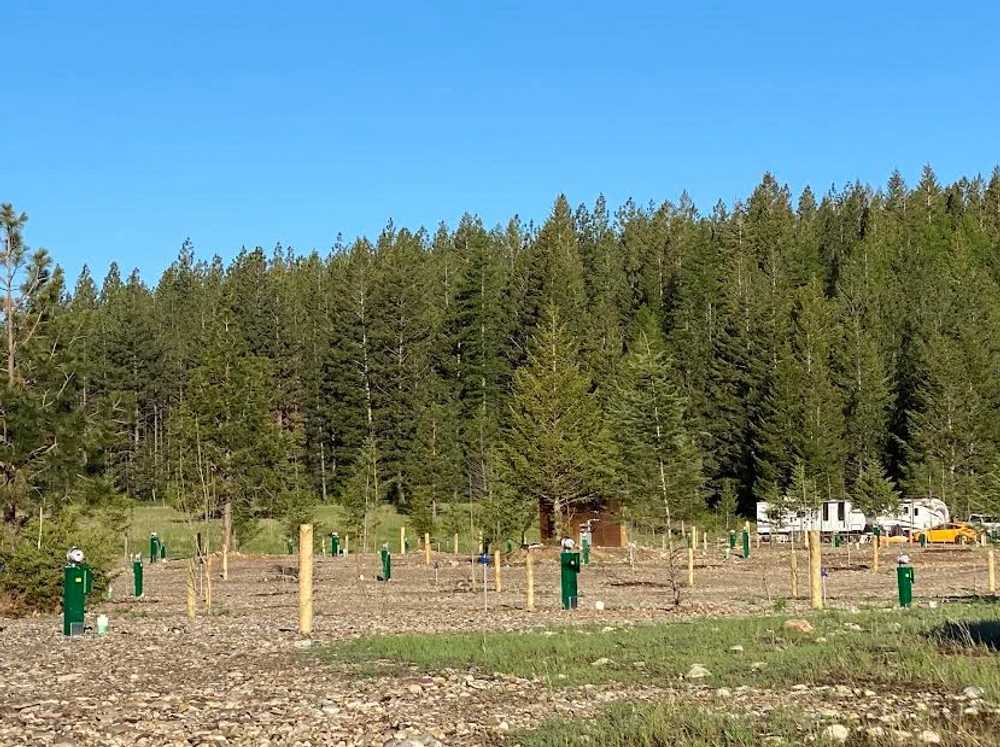 Mountain View RV Park, Elko, British Columbia - Photo 3